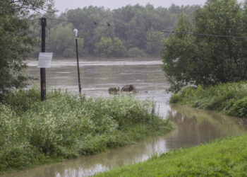 Tarnobrzeg. Stany wód.