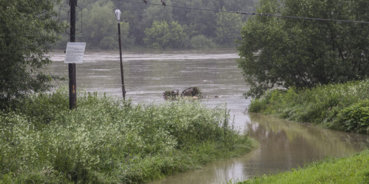 Tarnobrzeg. Stany wód.