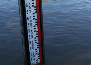 Nisko: Wysoka woda na razie nie zagraża.