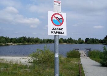 Nowa Dęba. Zakaz kąpieli w zalewie