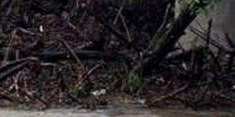 Radomyśl nad Sanem: Zatory na moście w Radomyślu