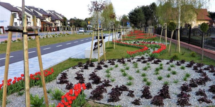 Połaniec. Zielono i kolorowo w mieście