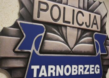 Tarnobrzeg. Mieszkaniec rozpowszechniał pornografię.