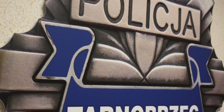 Tarnobrzeg. Mieszkaniec rozpowszechniał pornografię.