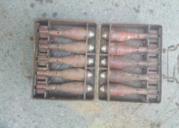 Nowa Dęba. Wybuchowe znalezisko w lesie