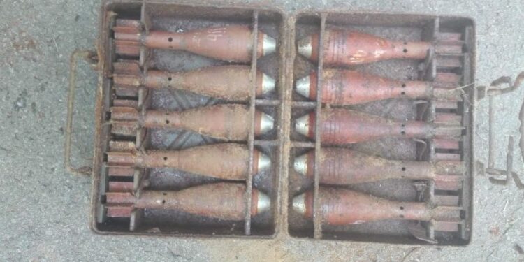 Nowa Dęba. Wybuchowe znalezisko w lesie