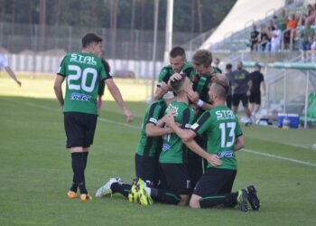 Stalowa Wola: Dwie cenne wygrane Stalówki