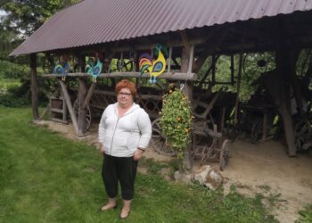 Nowa Dęba. Ruszył serwis internetowy „Pracujący uczeń”