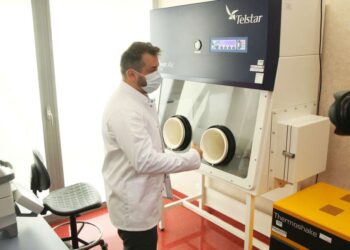 Region: 20 testów na koronawirusa.