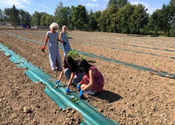 Dębica: Zielone płuca