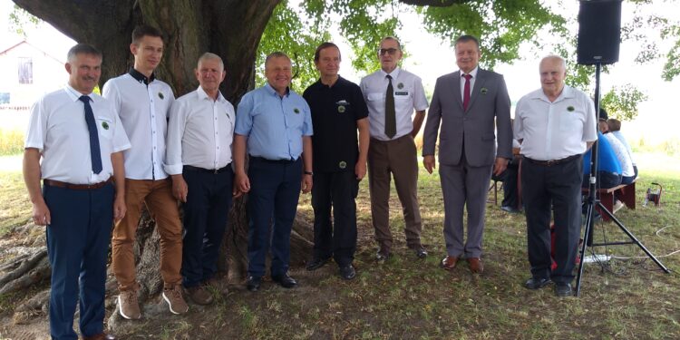 Mielec: Teraz czas na Drzewo Europy.