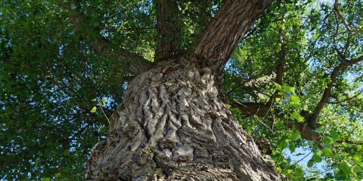 Dębica: Kolejny żłobek