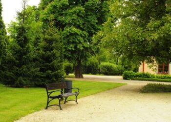 Stalowa Wola: Charzewic dotyczy kolejny film Muzeum Regionalnego o miejscach niezwykłych