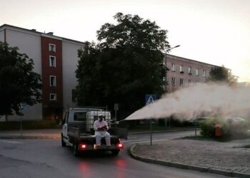 Nowa Dęba. Rozpoczęło się odkomarzanie