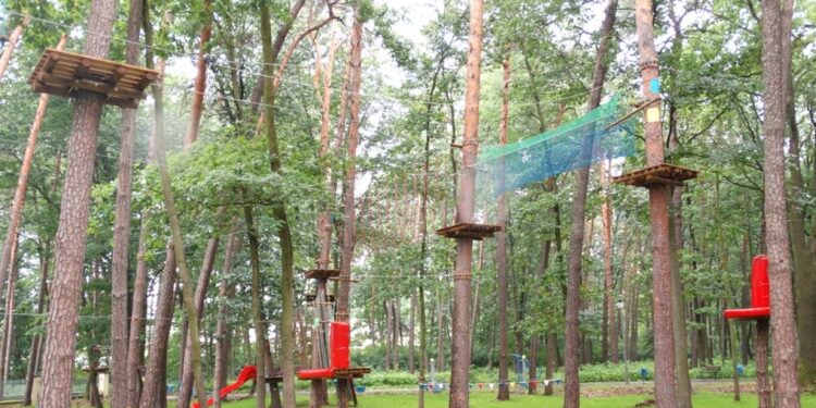 Dębica: Park Linowy