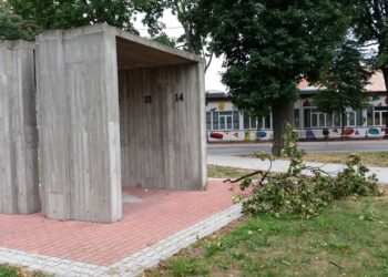 Mielec: Czym  powinny wyróżniać się parki ?