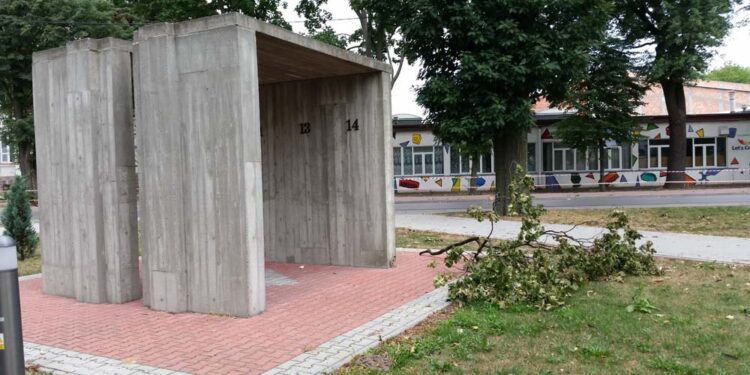 Mielec: Czym  powinny wyróżniać się parki ?