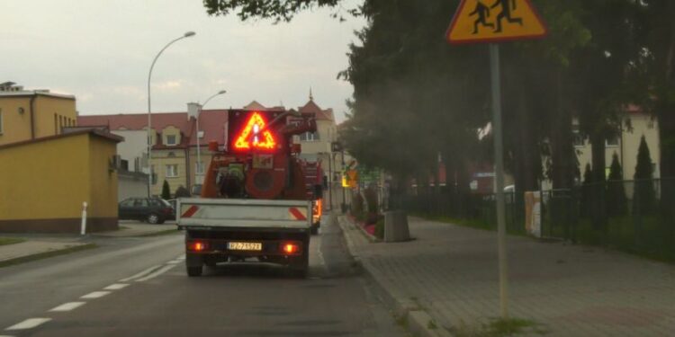 Dębica: Na pomoc w walce z komarami