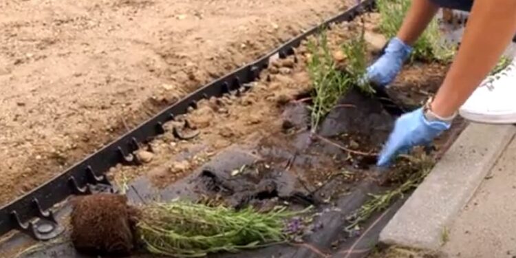 Dębica: Wandalizm nie zna granic