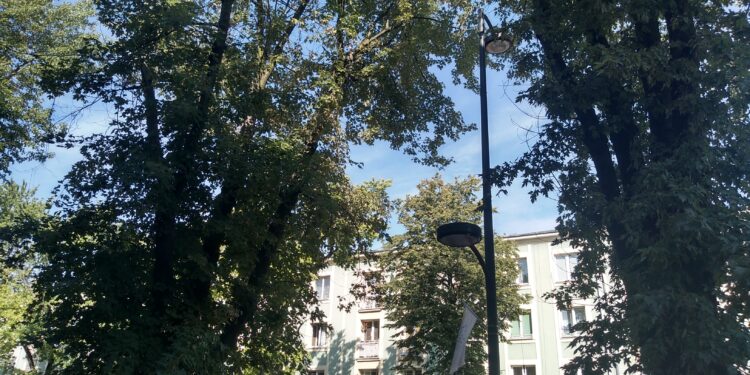 Mielec: Egipskie ciemności będą rozjaśnione