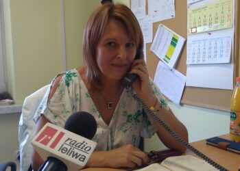 Mielec: Więcej kursów do Mielca