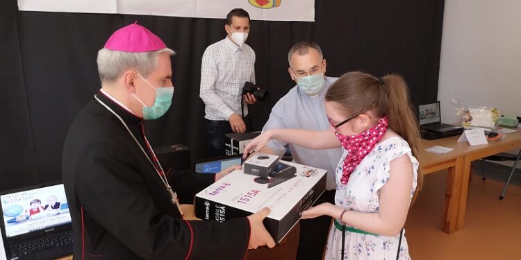 Nowa Dęba. Wędrowiec w Rozalinie