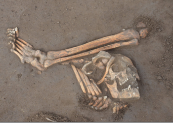 Sandomierz: Dziś spotkanie naukowe „Guziki, kule, groby. Archeologiczne badania pola bitwy pod Wagram”.