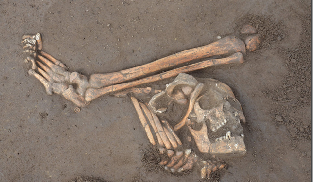 Sandomierz: Dziś spotkanie naukowe „Guziki, kule, groby. Archeologiczne badania pola bitwy pod Wagram”.