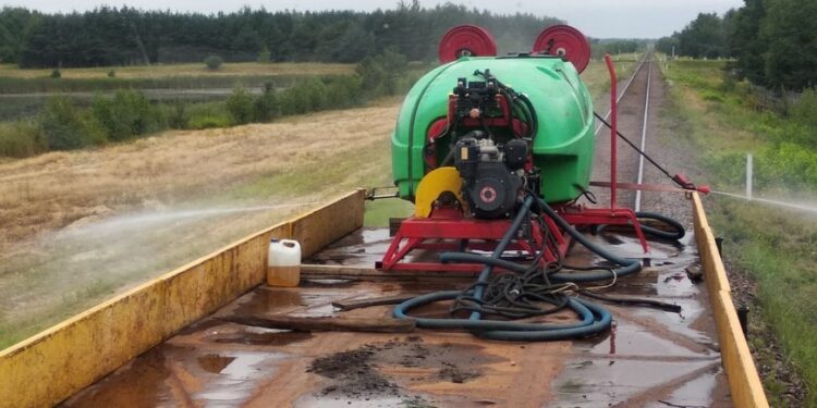 Mielec:  Kolejny oprysk przeciw ASF