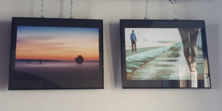 Sandomierz: Fotograficzna „Wiwisekcja” Patryka Krzyżaka w Iluzjon Art Cafe.