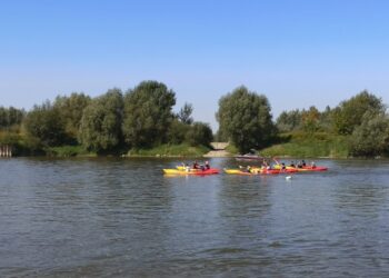 Baranów Sandomierski. Pierwsze regaty kajakowe na Wiśle