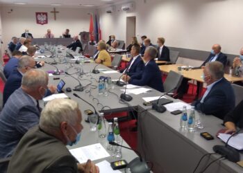 Mielec: Odgrodzenie się ma zapobiec ASF