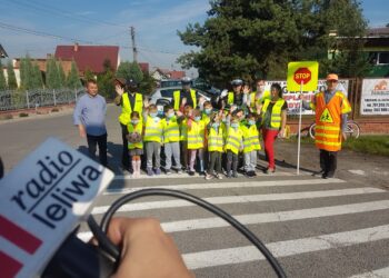 Powiat tarnobrzeski. Policjanci i pracownicy WORD w szkołach.