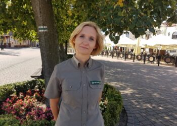 Tarnobrzeg. 1000 drzewek rozeszło się na pniu.