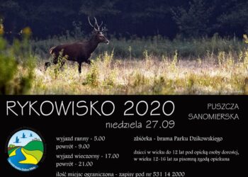 Tarnobrzeg. Centrum zaprasza na rykowisko.