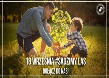 Tarnobrzeg. Leśnicy rozdadzą 1000 sadzonek drzew.