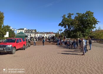 Tarnobrzeg. Sadzonki jak ciepłe bułeczki.