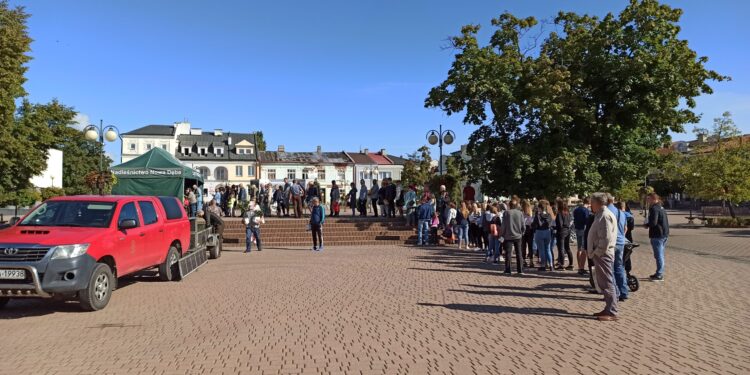 Tarnobrzeg. Sadzonki jak ciepłe bułeczki.