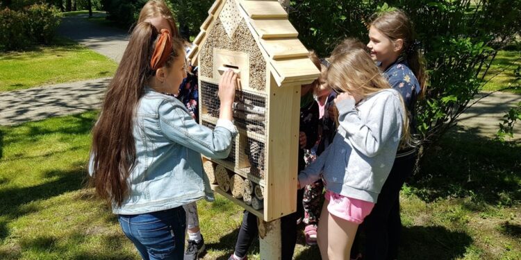 Mielec:  MUD-u w tym roku nie będzie!