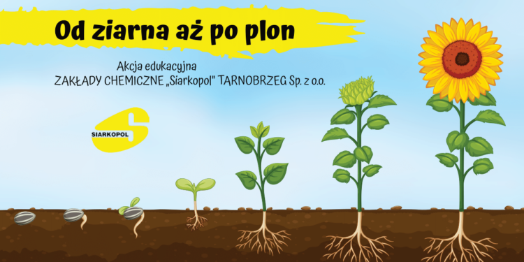 Tarnobrzeg, powiat tarnobrzeski. Kampania edukacyjna „Od ziarna aż po plon”.
