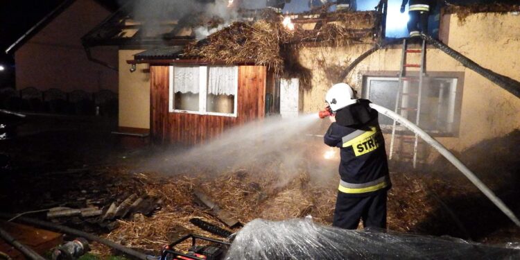 Dąbrowica: Nocny pożar „letniej kuchni”