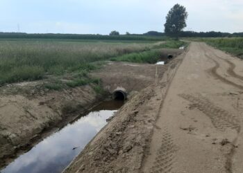 Mielec: Scalanie wyszło im na dobre