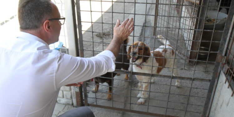 Mielec: Rzeczywistość inna niż mówią…