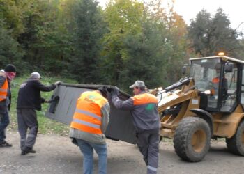 Dębica: Podarunek dla czworonogów