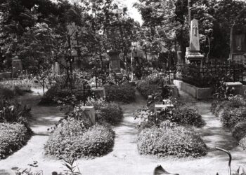 Stalowa Wola: Spacer po rozwadowskim cmentarzu