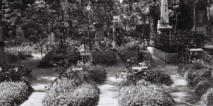 Stalowa Wola: Spacer po rozwadowskim cmentarzu