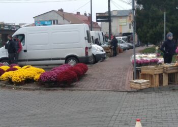 Mielec: Jesteśmy niezadowoleni  z tej decyzji
