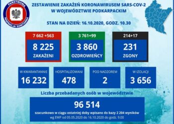 Tarnobrzeg, powiat tarnobrzeski. Coraz więcej nowych przypadków koronawirusa.