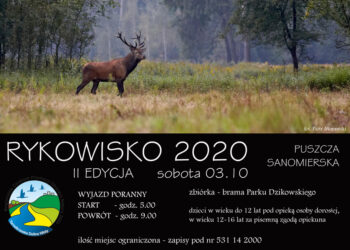 Tarnobrzeg. Wyjazd na rykowisko.