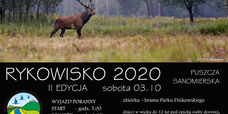 Tarnobrzeg. Wyjazd na rykowisko.